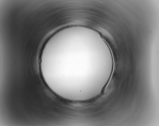 X0000088150792200706041354