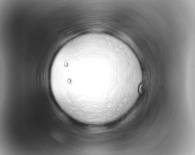 X0000088150795200706041354