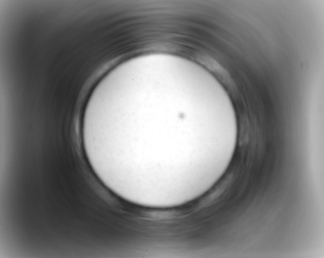 X0000088150796200706041354