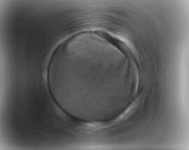 X0000088150797200706041354