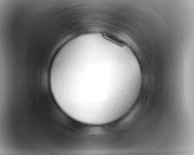 X0000088150798200706041354