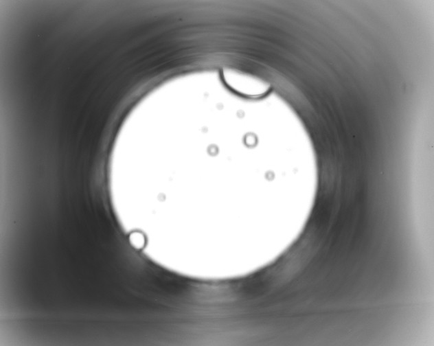 X0000088150800200706041354