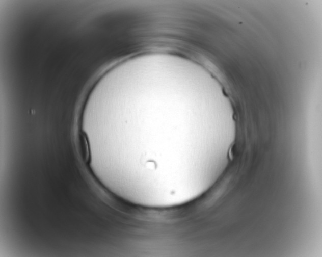 X0000088150803200706041354