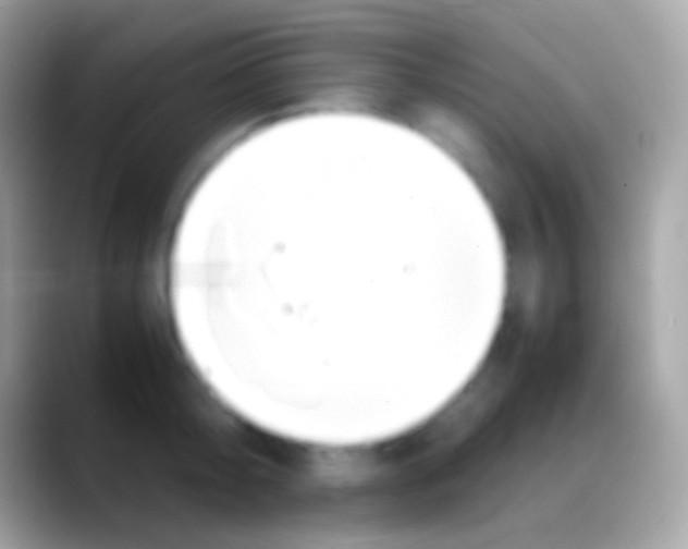 X0000088150804200706041354