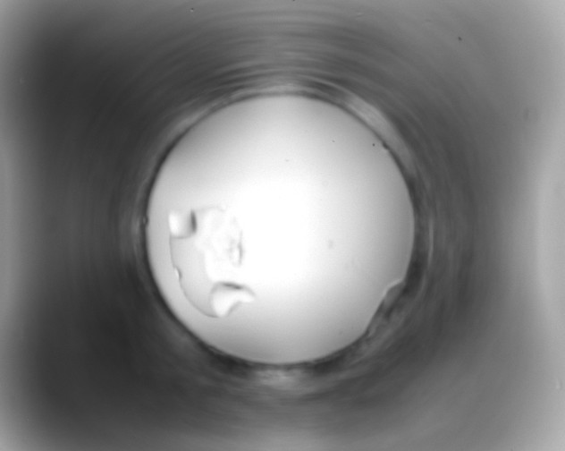 X0000088150805200706041354