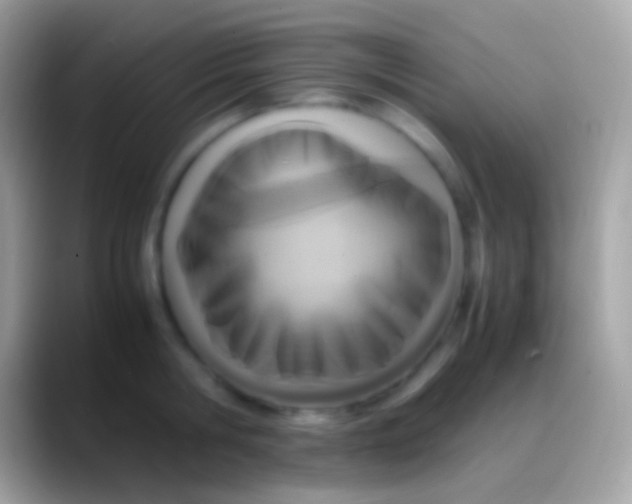 X0000088150806200706041354