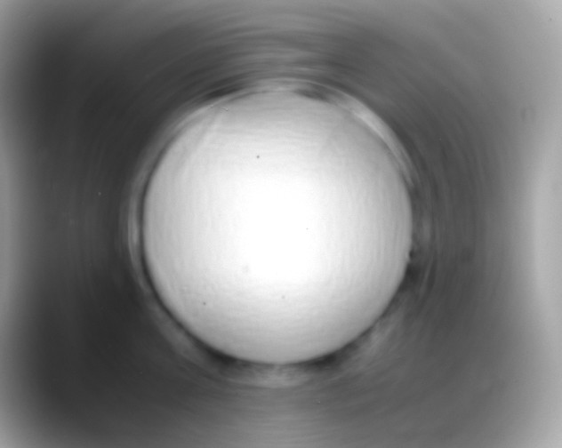 X0000088150811200706041354