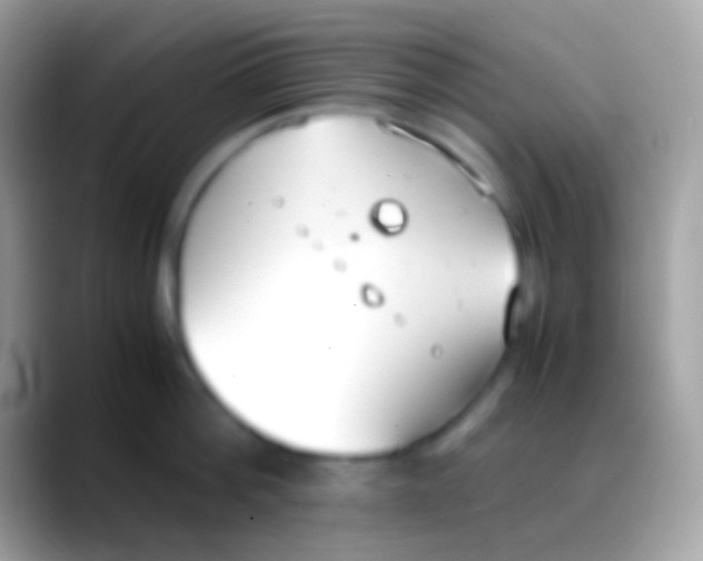 X0000088150812200706041354