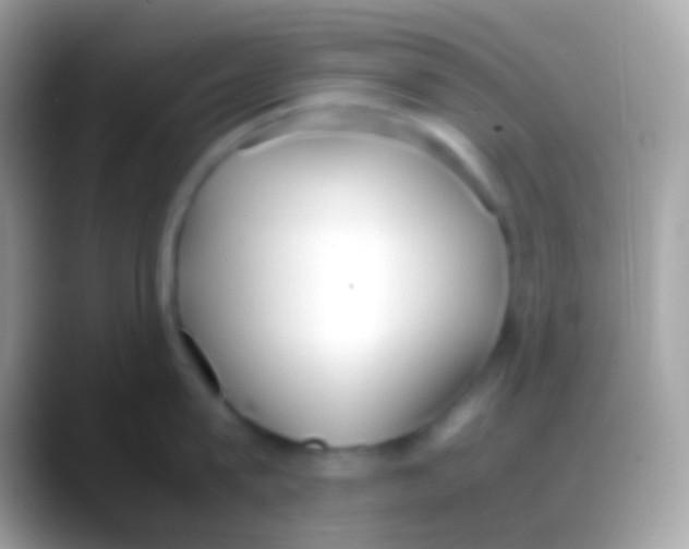 X0000088150815200706041354