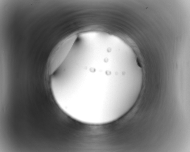 X0000088150816200706041354