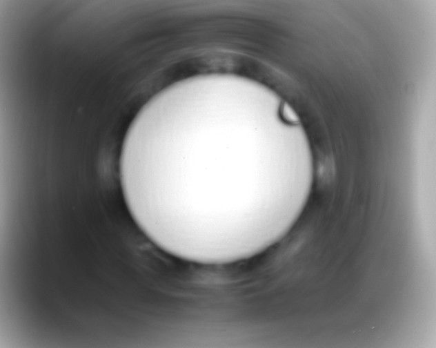 X0000088150819200706041353