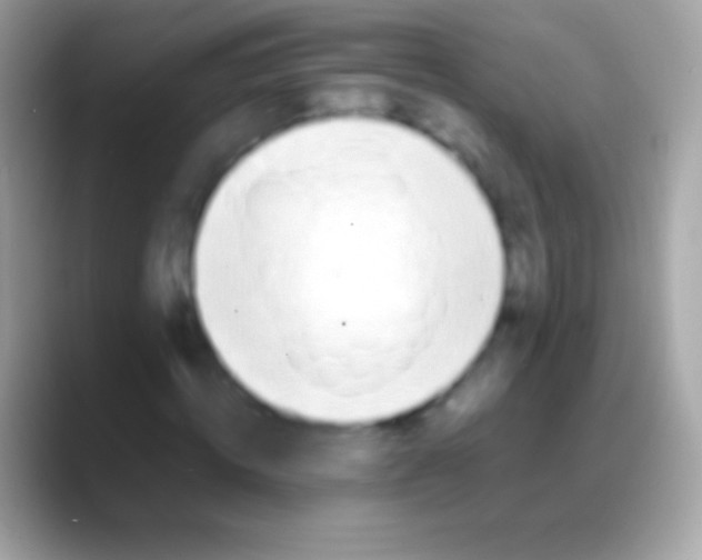 X0000088150820200706041353