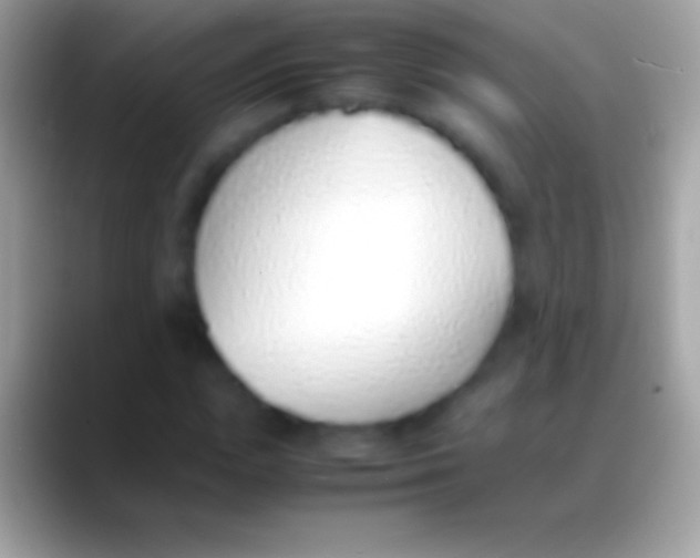 X0000088150823200706041353