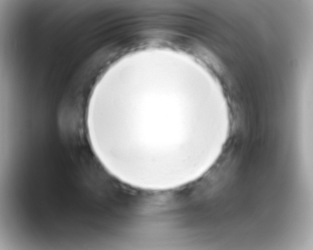 X0000088150824200706041353