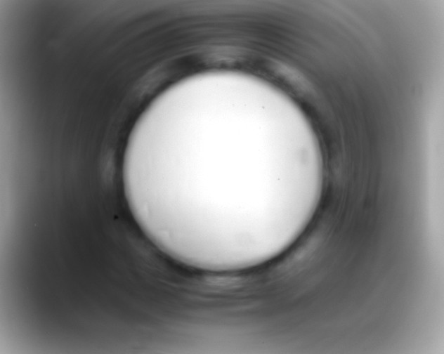 X0000088150825200706041353