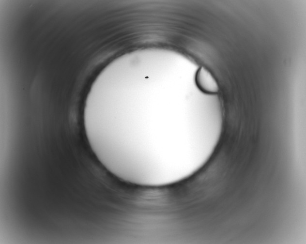 X0000088150826200706041353