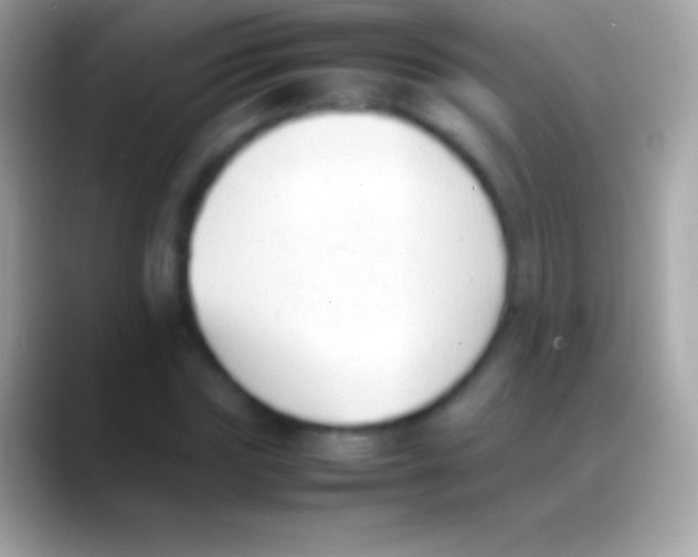 X0000088150827200706041353