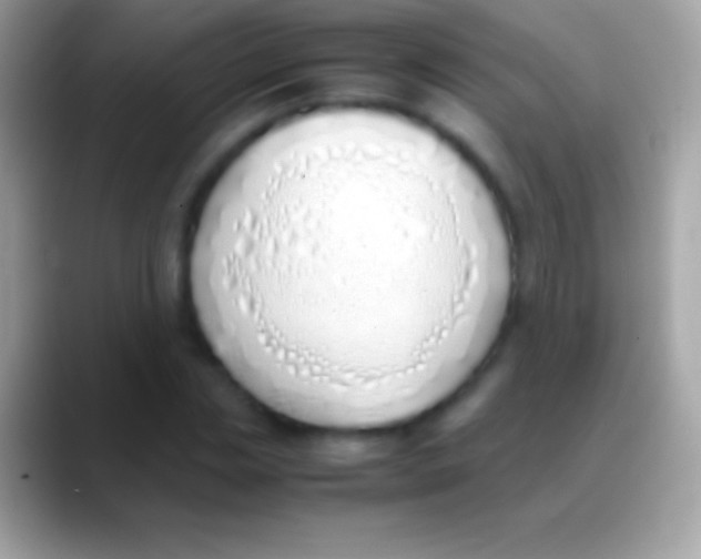 X0000088150829200706041353