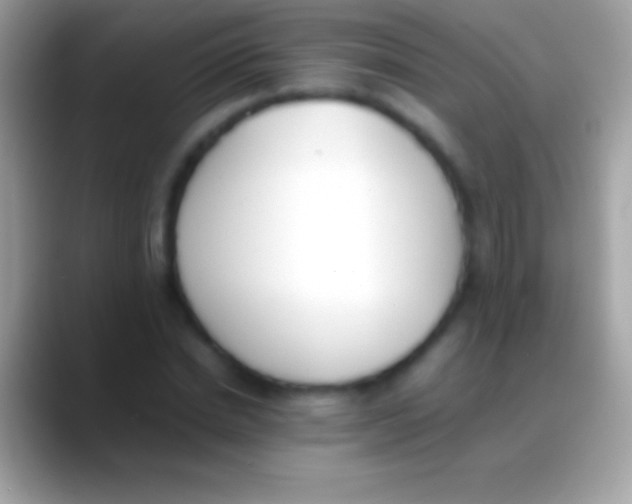 X0000088150830200706041353