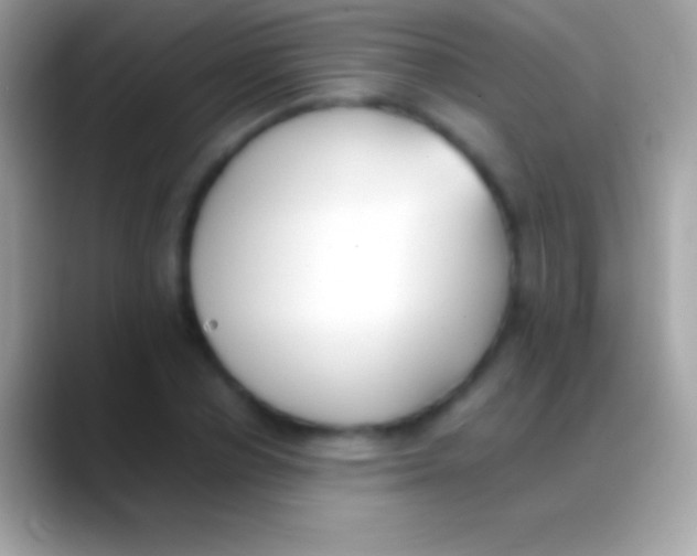 X0000088150834200706041353