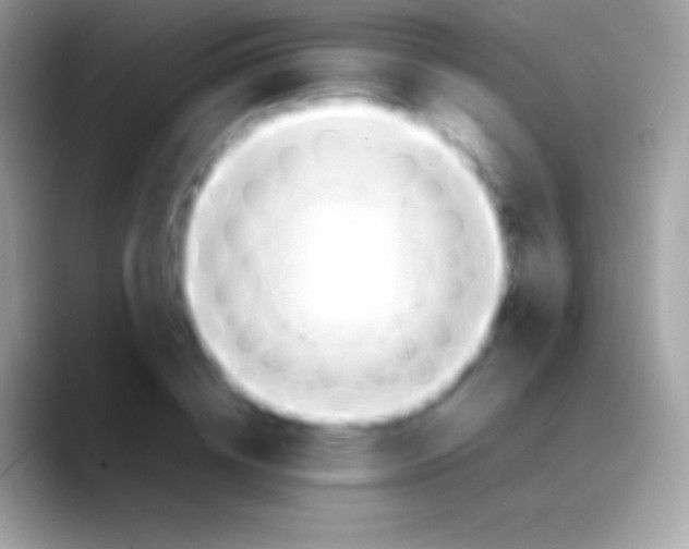 X0000088150836200706041353