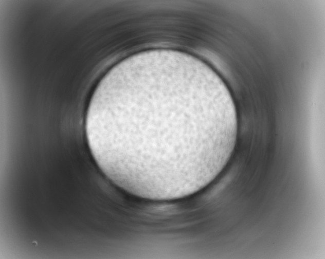 X0000088150837200706041353