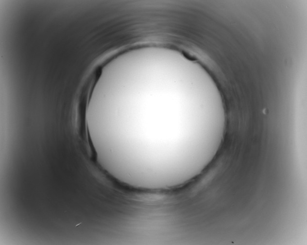 X0000088150838200706041353