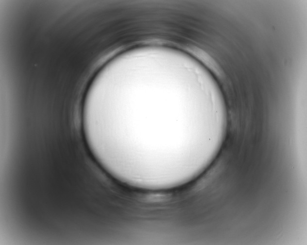 X0000088150839200706041353