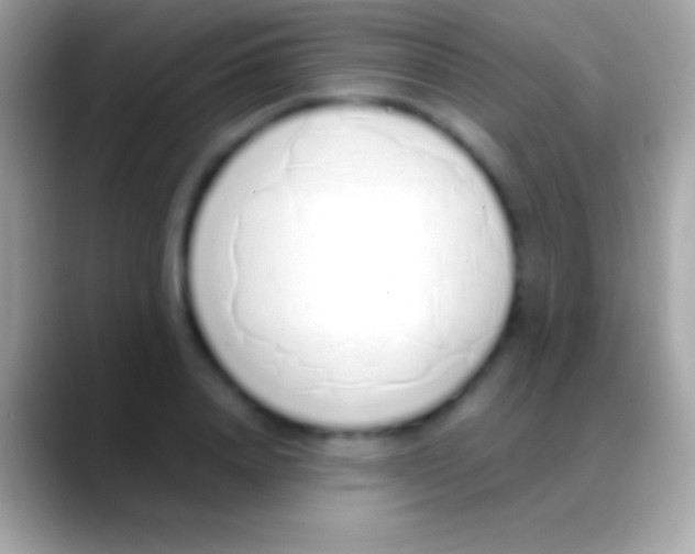 X0000088150840200706041353