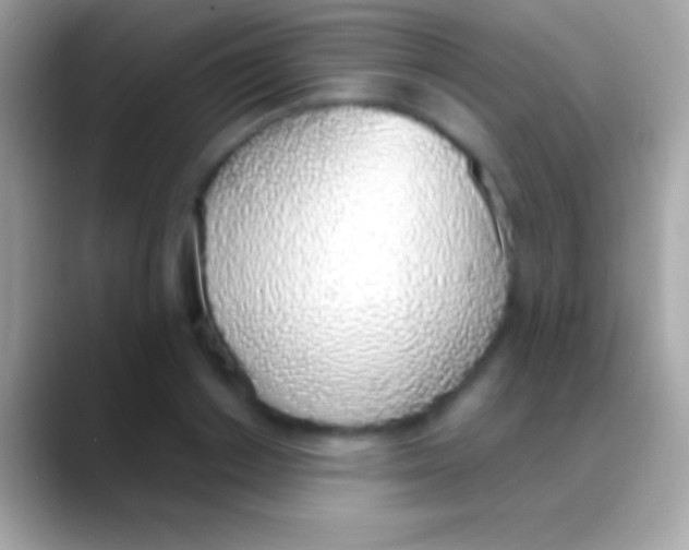 X0000088150842200706041353