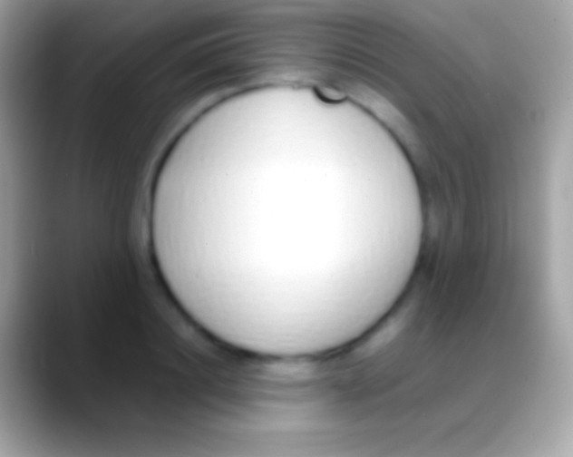 X0000088150844200706041353