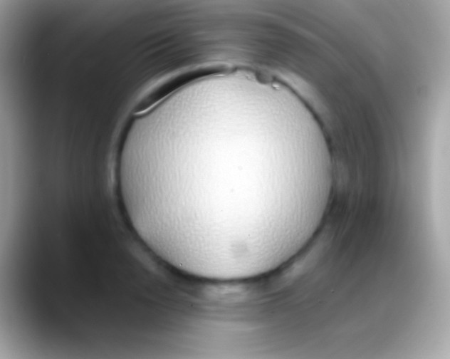 X0000088150846200706041353