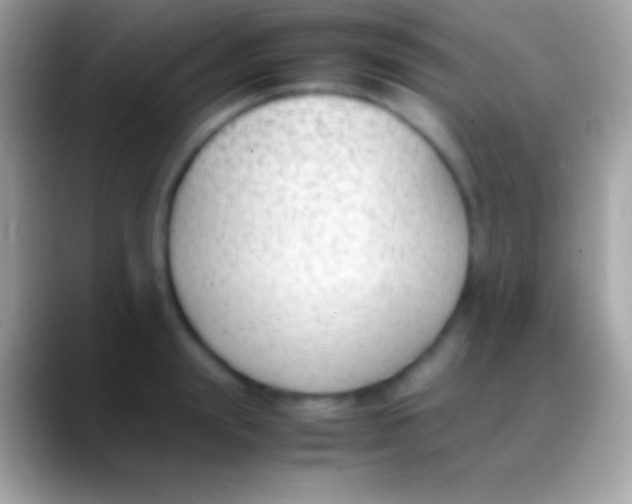 X0000088150847200706041353