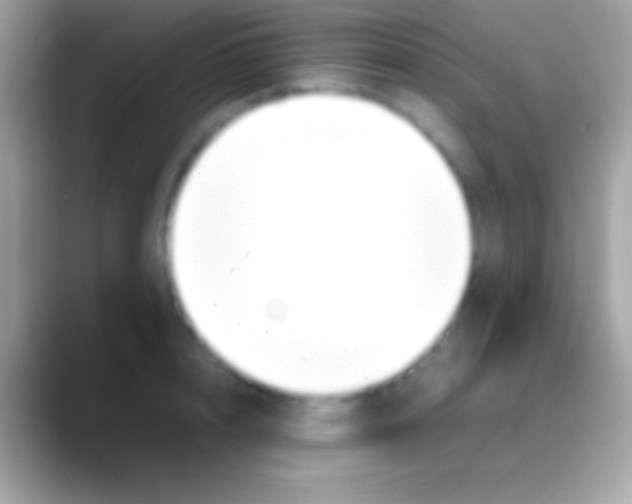 X0000088150848200706041353