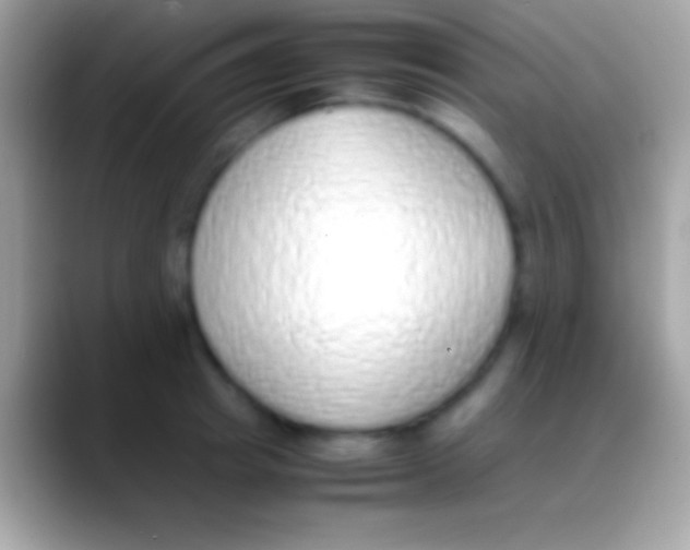 X0000088150849200706041353