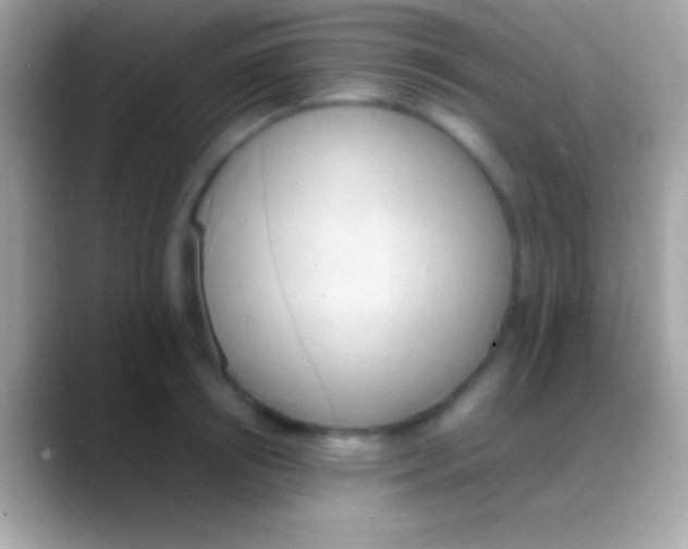 X0000088150850200706041353