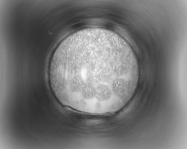 X0000088150853200706041353