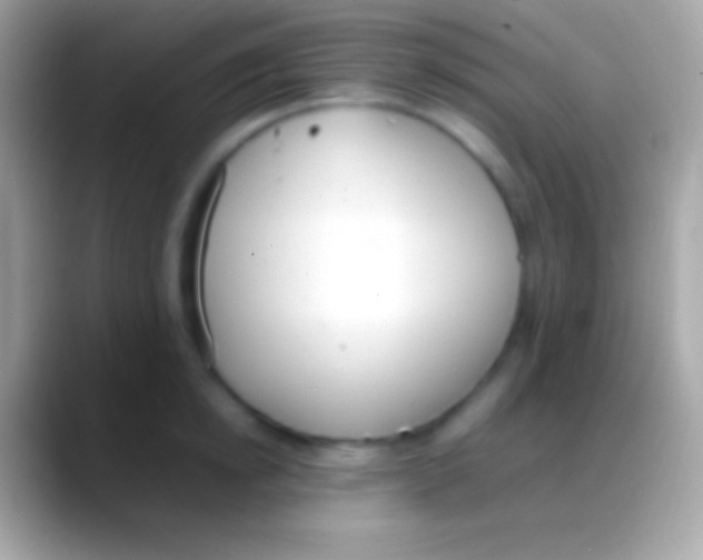 X0000088150854200706041353