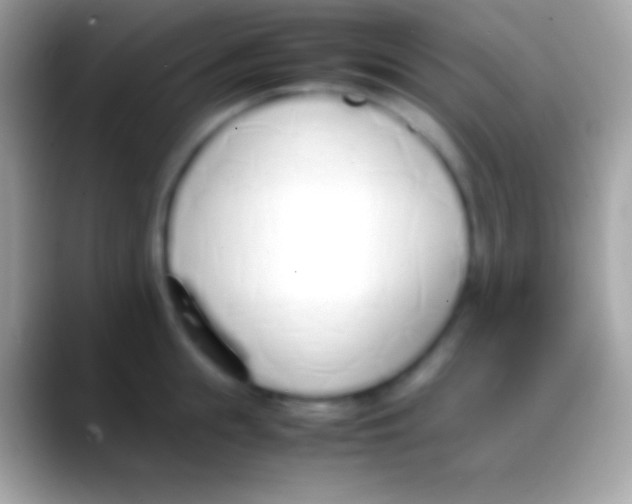 X0000088150855200706041353