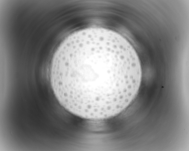 X0000088150856200706041353