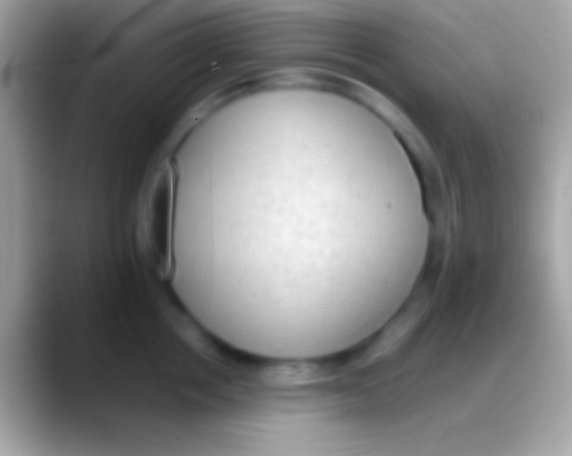 X0000088150858200706041353