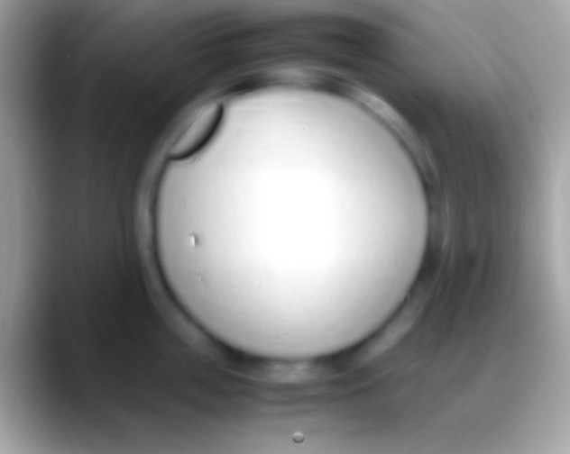 X0000088150859200706041353