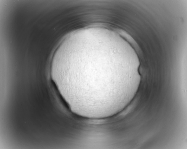 X0000088150860200706041353