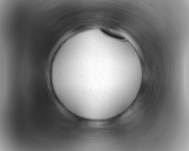 X0000088150861200706041353