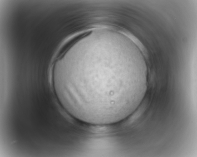 X0000088150862200706041353