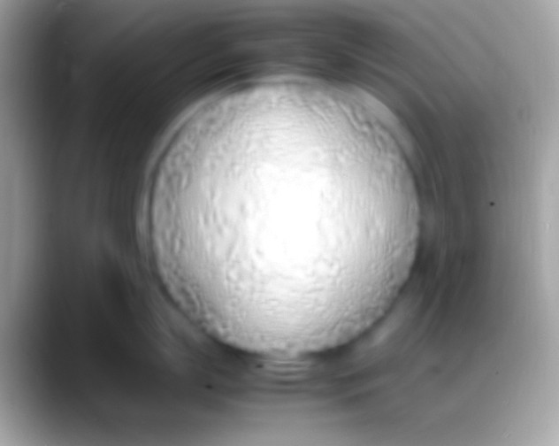 X0000088150863200706041354