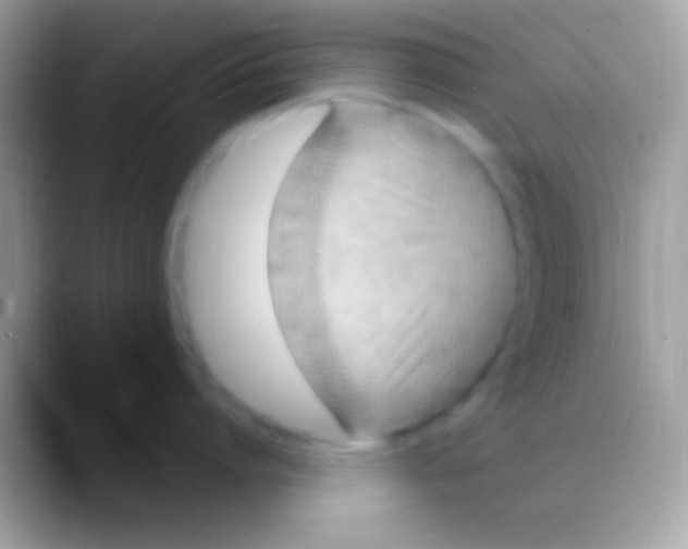 X0000088150864200706041354