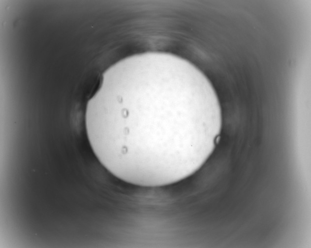 X0000088150866200706041353