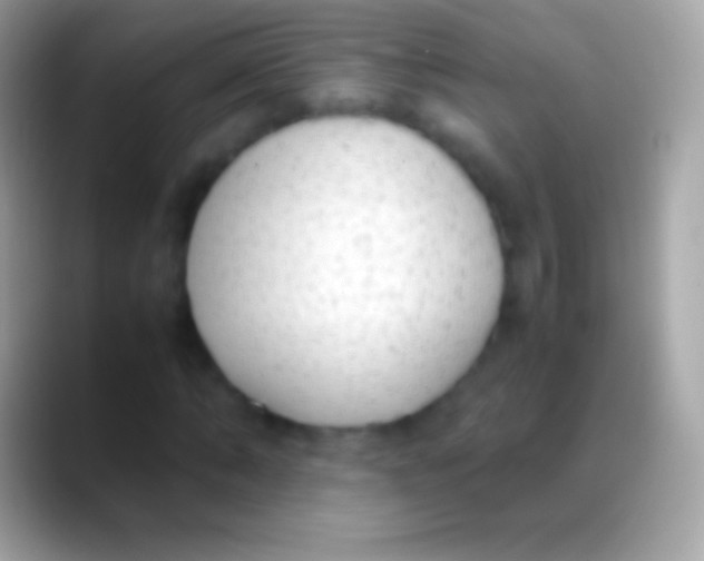 X0000088150870200706041353