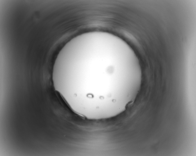 X0000088150872200706041353